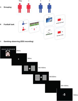 Your Performance Is My Concern: A Perspective-Taking Competition Task Affects ERPs to Opponent’s Outcomes